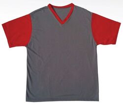 Camiseta Gola V Bicolor