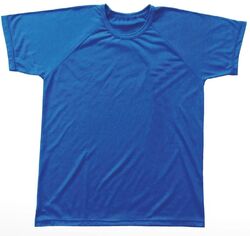 Camiseta Manga Raglan