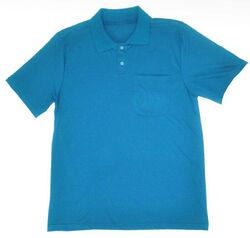 Polo Tradicional com Bolso